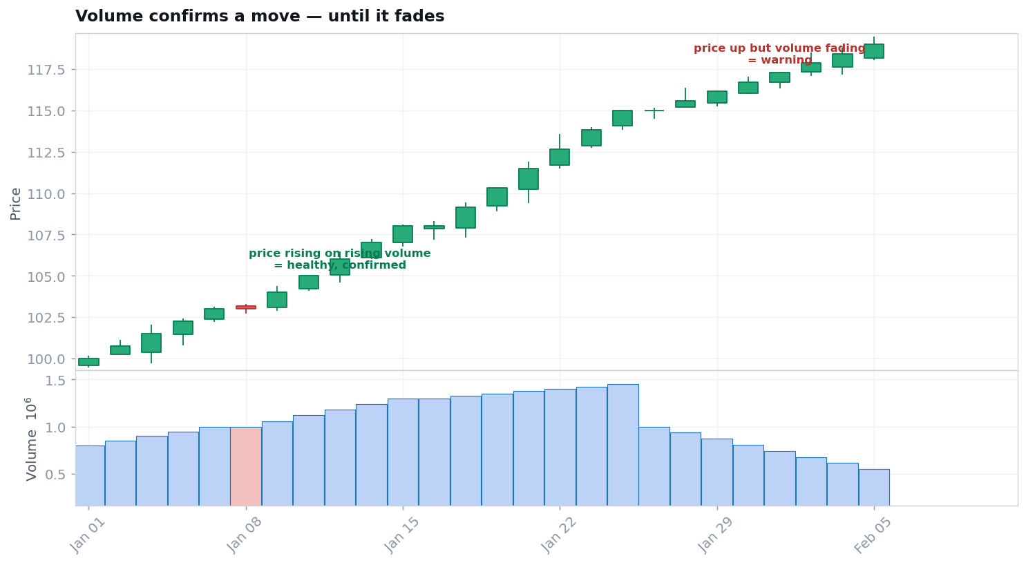 Volume bars expanding as price breaks out, confirming the move